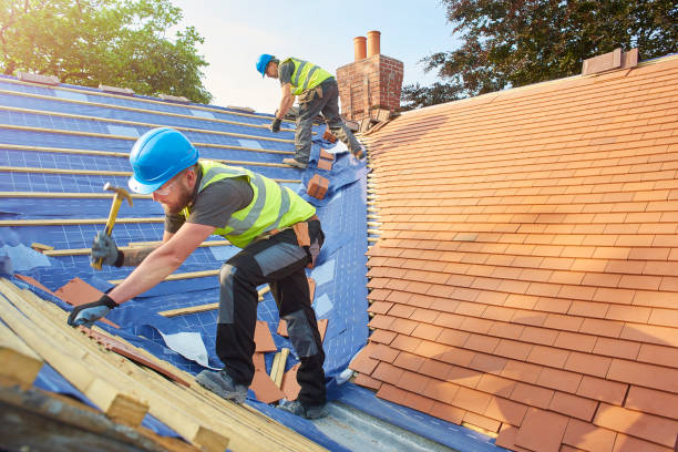 Best Steel Roofing  in Sikeston, MO
